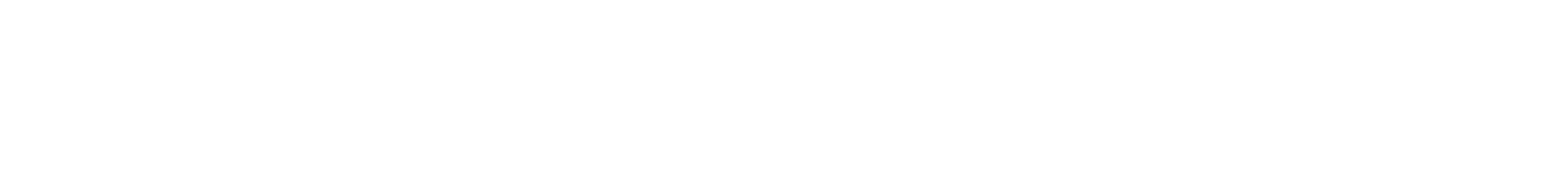 Made in Italy